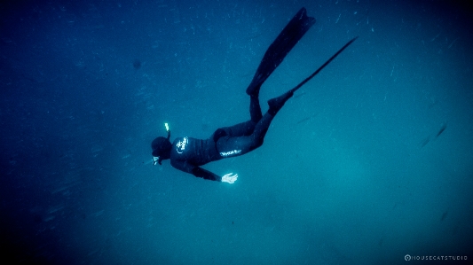 Photo Océan plongée libre
 sous-marine
 eau