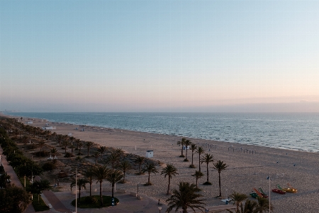 Strand palmen sand himmel Foto