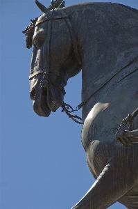 Estatua statue horse sculpture Photo