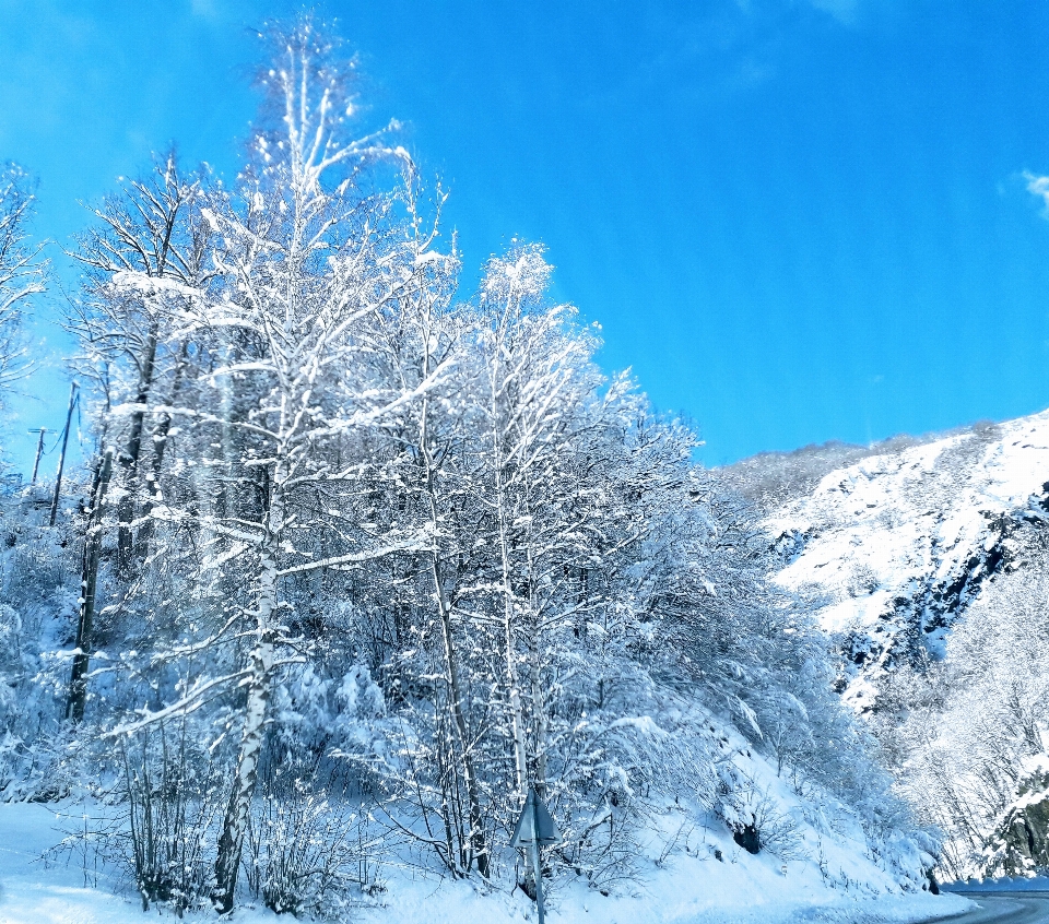 Neve montanha alpes
 esqui