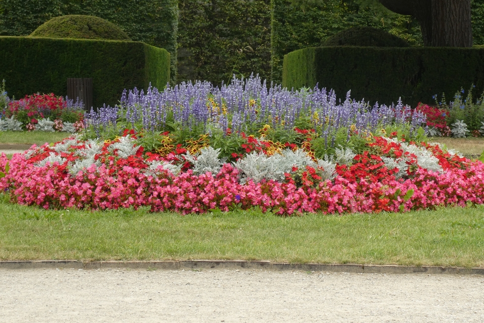 Fleurs jardin du château
 krumlov
 république tchèque