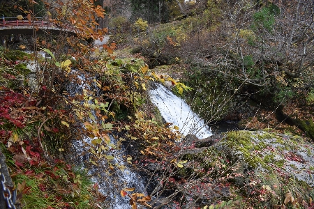 Yamagata japan autumn adventure Photo