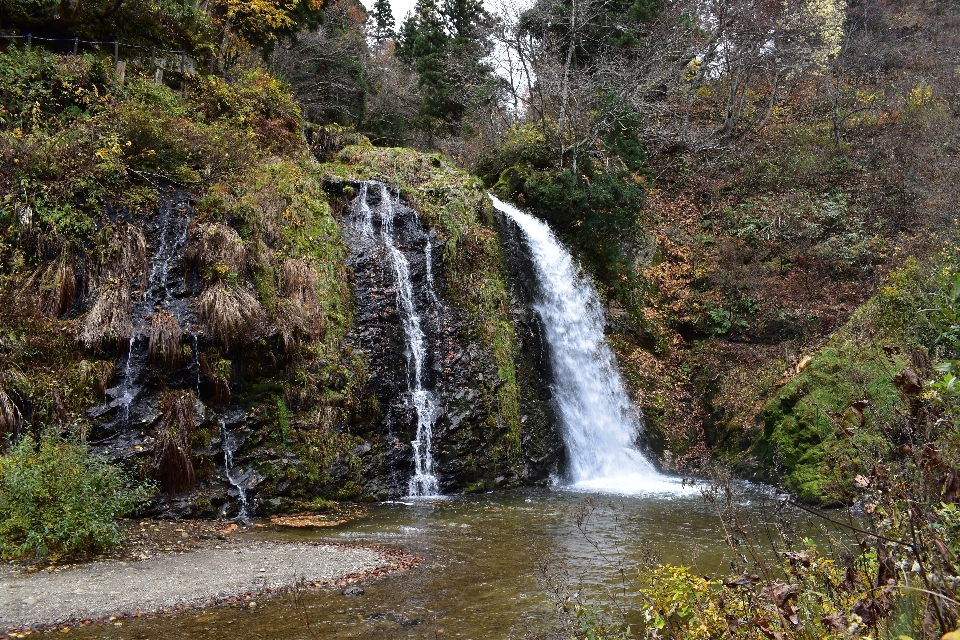 Yamagata
 japan herbst abenteuer