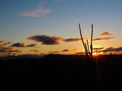 Nature sky sunset cloud Photo