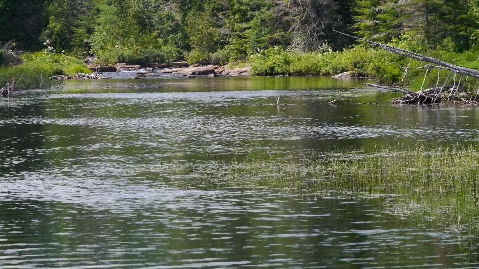 Calm water canada body of