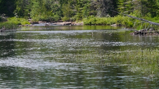 Calm water canada body of Photo