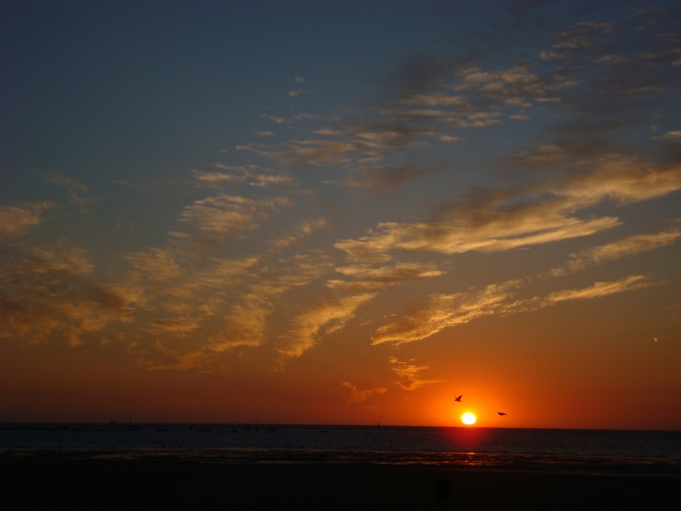 Cielo resplandor crepuscular
 horizonte atardecer