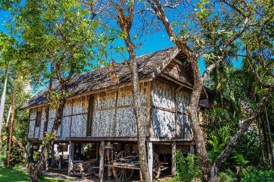 明るい ほどく
 建物 州
