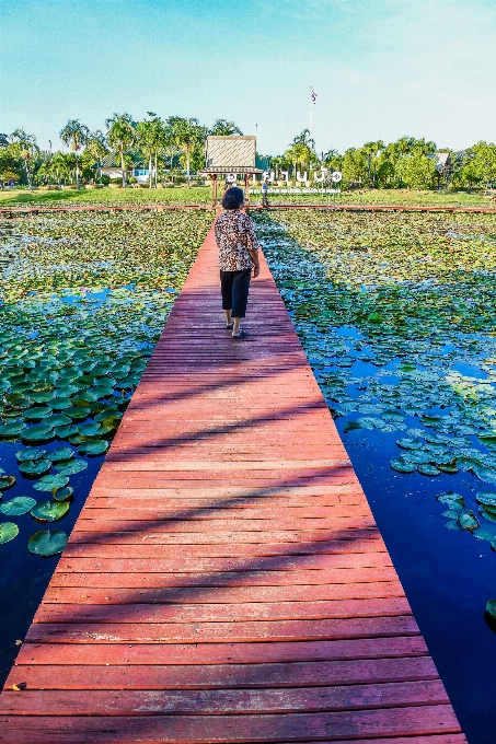 Belleza sala loto hermoso