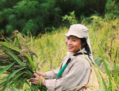 Ngay mua people in nature grass family plant Photo