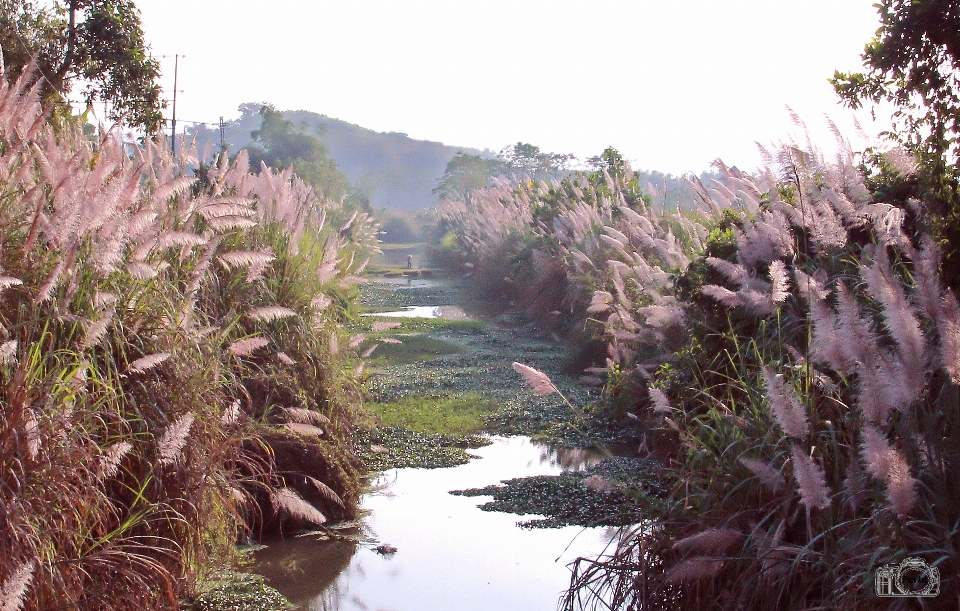 Lau
 naturalny krajobraz
 natura zasoby wodne
