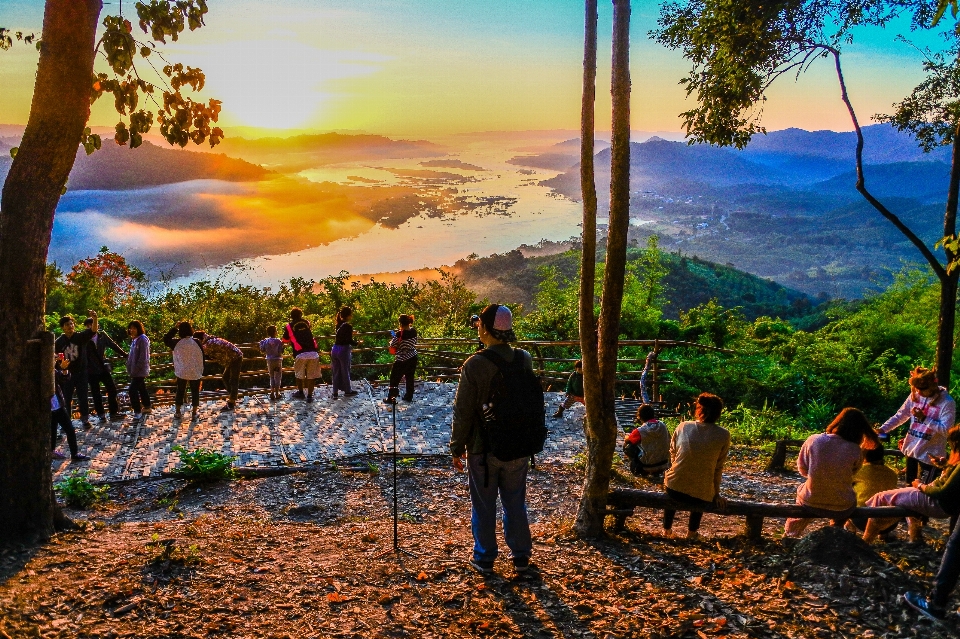 Giallo turismo sole vita