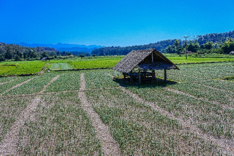 Land hütte ländlich nördlich