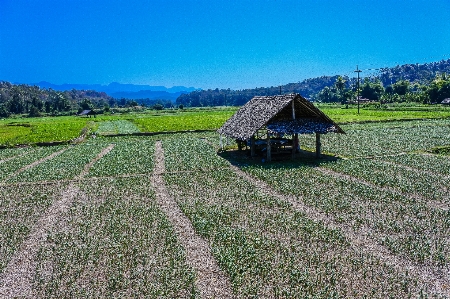 Country hut rural northern Photo