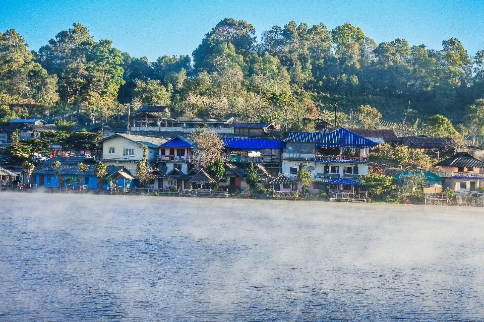 Hutan bayangan wisatawan cahaya matahari