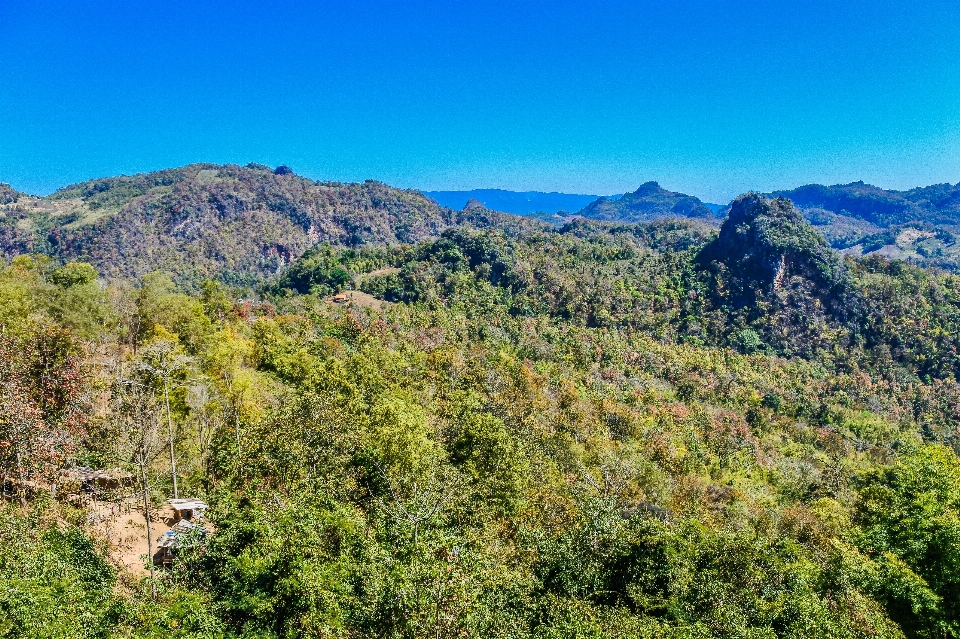 Tribu lahu
 forêt montagnes tourisme