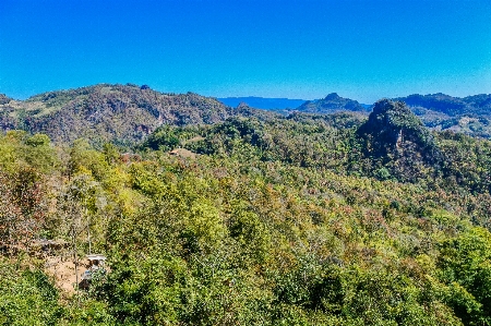 ラフ族
 森 山 観光 写真