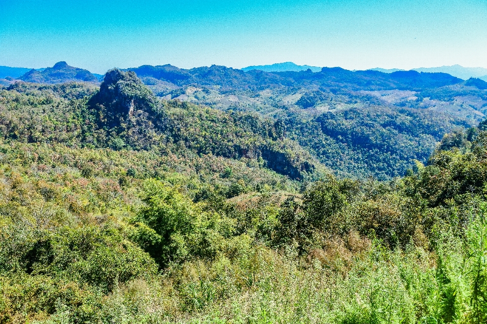 Tribu lahu
 forêt montagnes tourisme