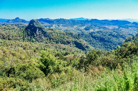 ラフ族
 森 山 観光 写真