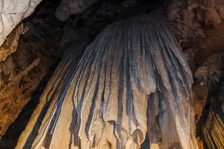 ロッド
 観光 地質学 中身 写真