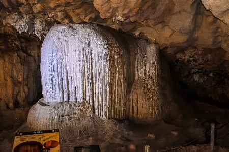 ロッド
 観光 地質学 中身 写真