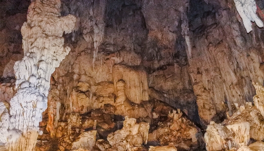 ロッド
 観光 地質学 中身 写真