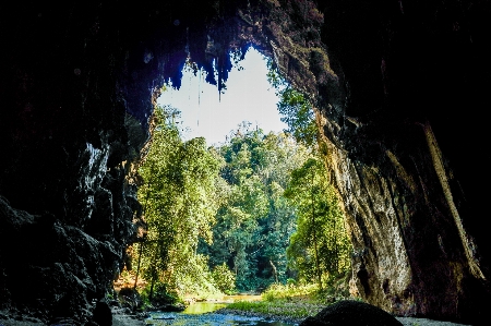 ロッド
 観光 地質学 中身 写真