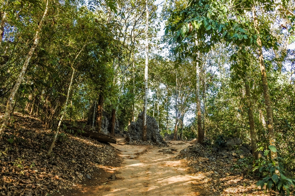 Penginapan
 pariwisata geologi di dalam