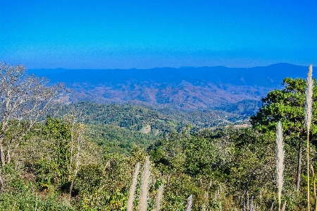 Forest mountains panoramic tourism Photo