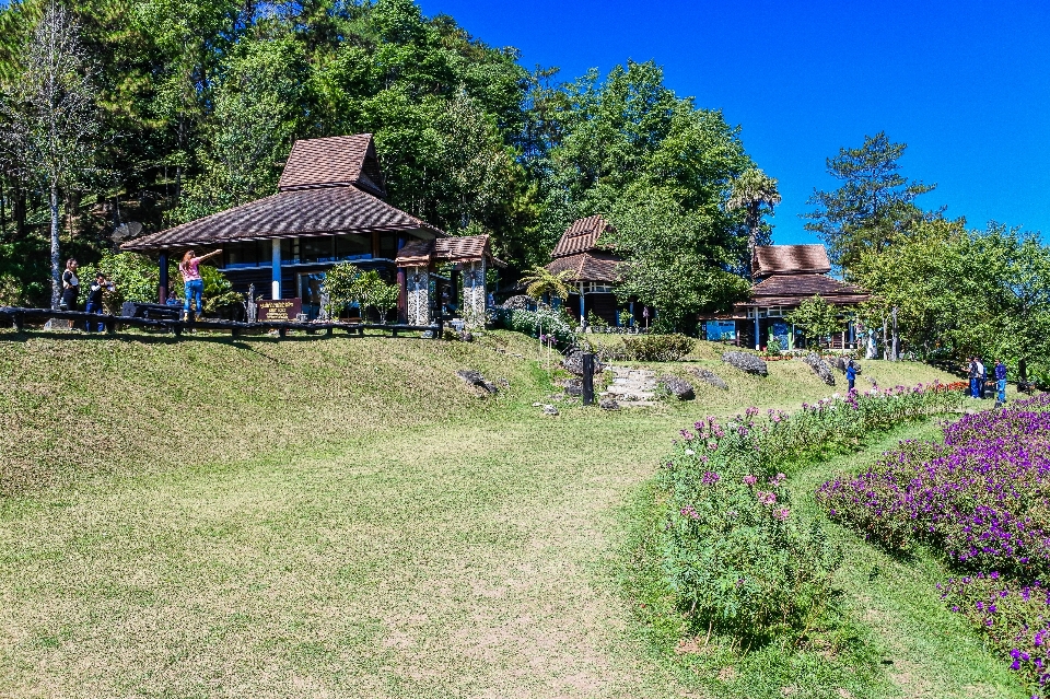 Hutan matahari terbit huai
 wisatawan