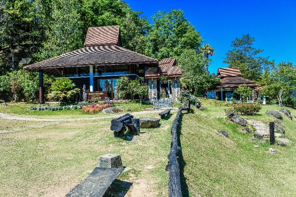 Hutan matahari terbit huai
 wisatawan