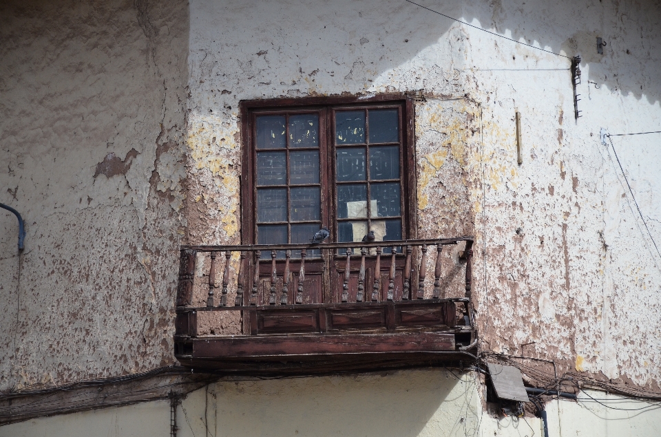 Natur wand fenster balkon