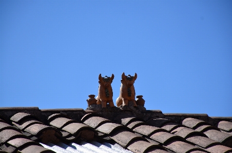 Nature roof sky architecture Photo