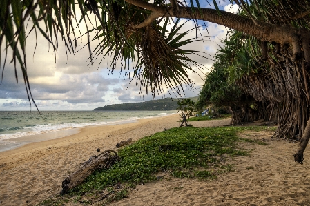 Thailand beach ocean tropics Photo