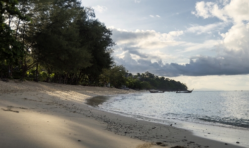 Thailand ocean tropics trees Photo