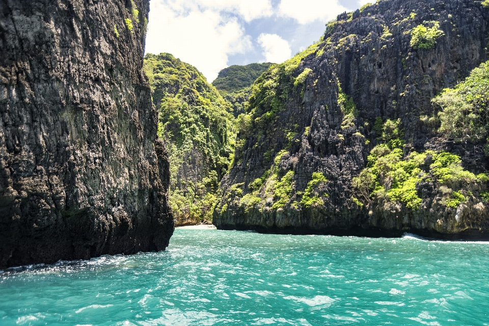 Thailand ocean tropics trees