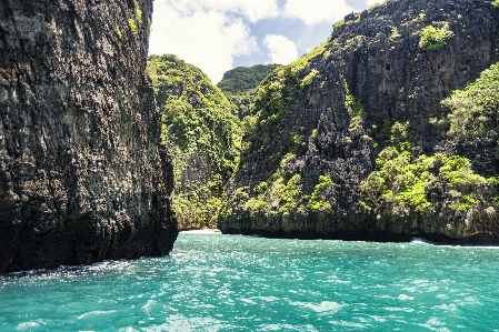 Thailand ocean tropics trees Photo