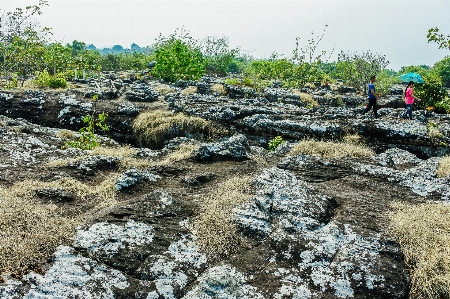 Foto Besar rong
 cahaya matahari hai
