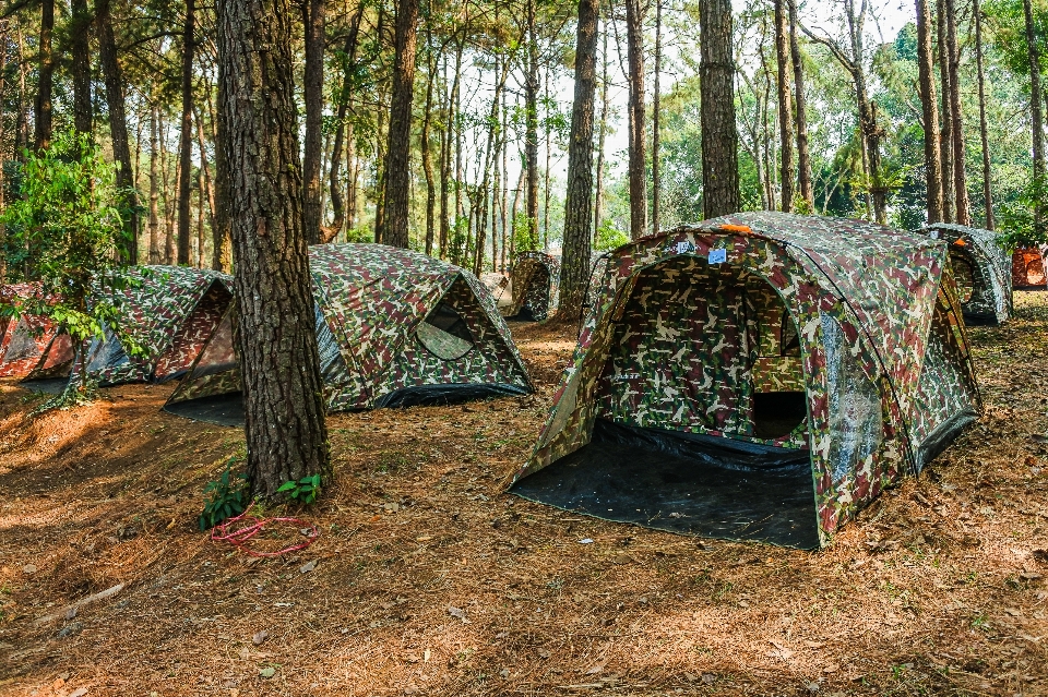 Tenda berkemah hutan pohon