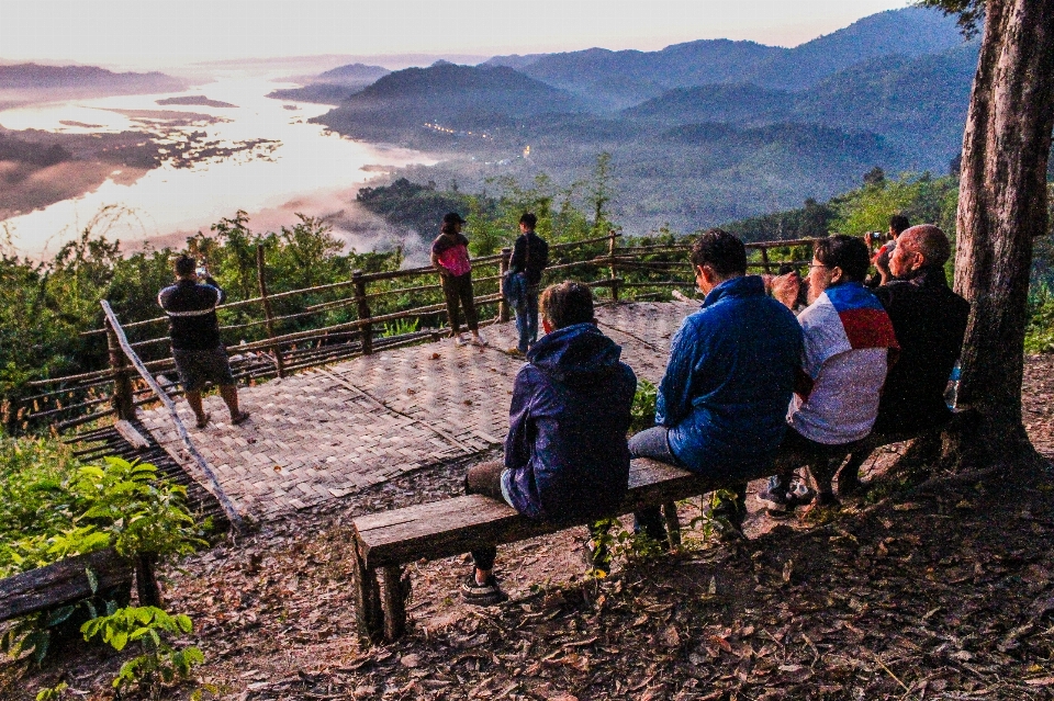 黄色的 旅游 太阳 生活