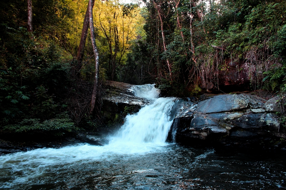 Chiang forest green hard