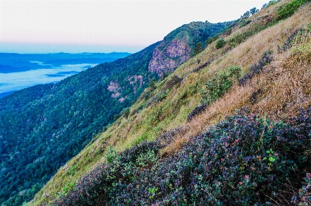 Nature mountain mountainous landforms vegetation Photo