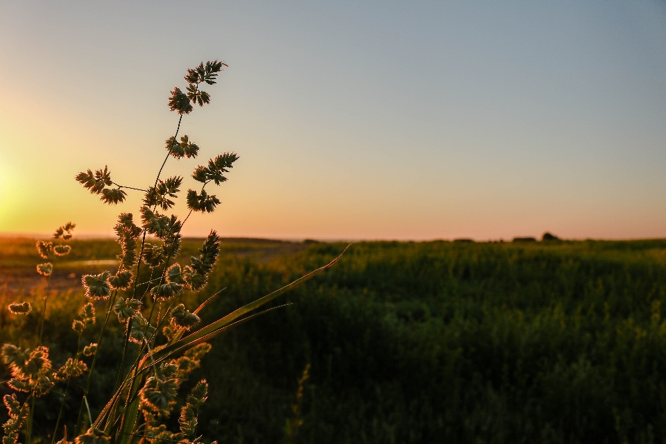 Sonne himmel natur natürliche landschaft
