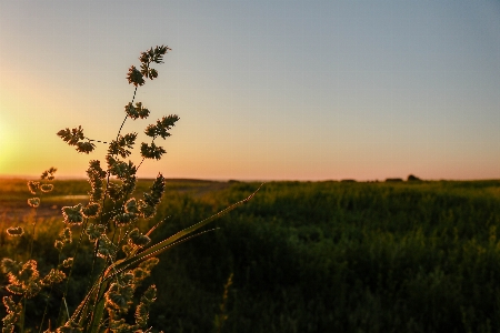 Sun sky nature natural landscape Photo