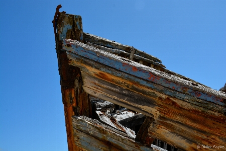 Foto Azul barco madeira árvore