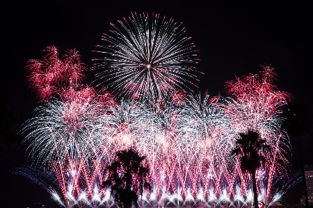 空 花火 自然 元旦
 写真