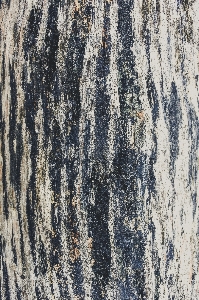 Abstract alpine background bark Photo