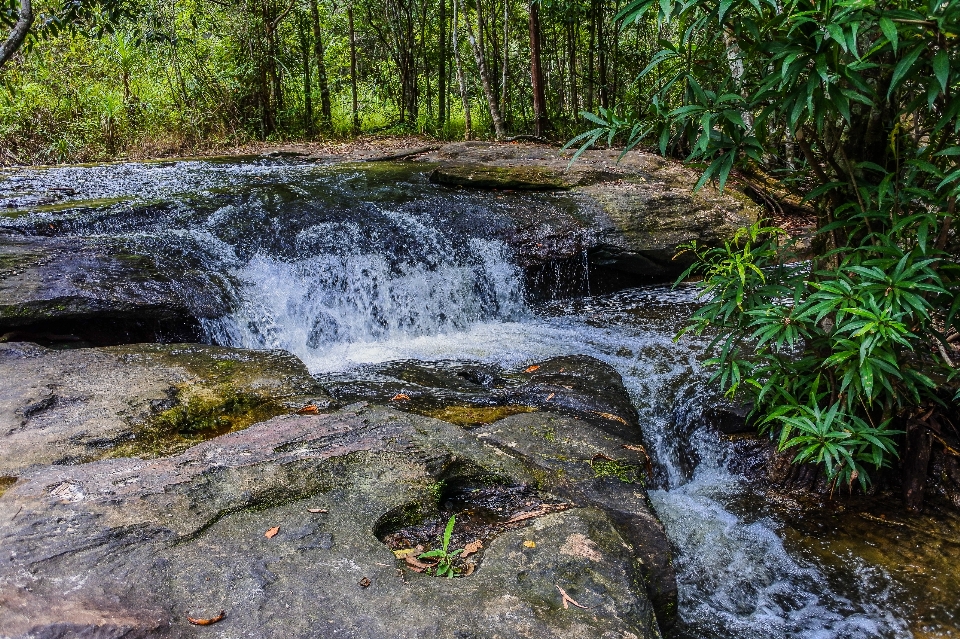 Beauty freshness inside scenic