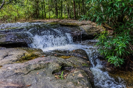 Beauty freshness inside scenic Photo