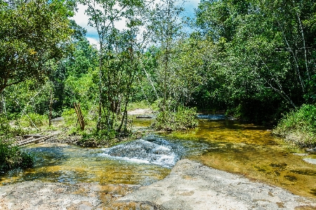 Beauty freshness inside scenic Photo